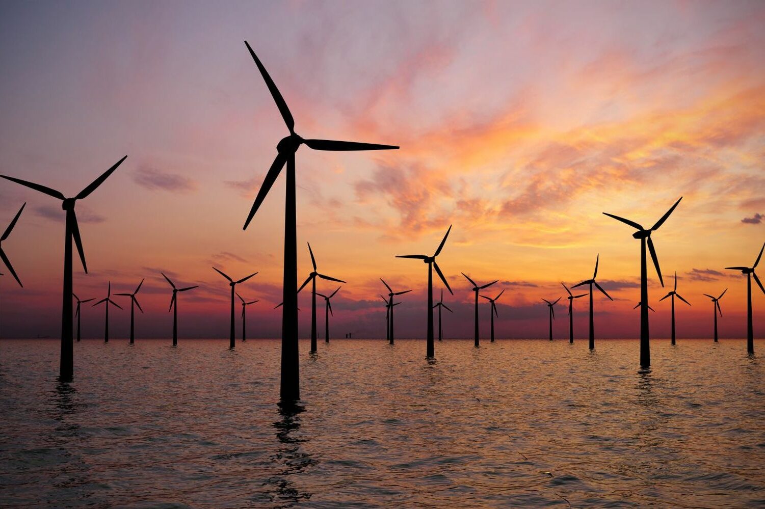 MSc Offshore Wind Energy and the Environment